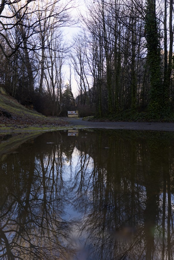 Bare winter trees mirrored in a still rain puddle on a quiet gravel lane with a building from the Chinese Settlement in the middle