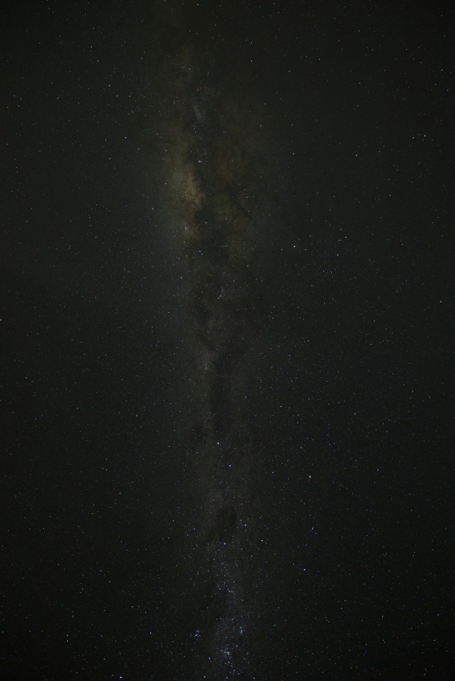 The Milky Way photographed from Te Anau, its dark dust lanes clearly visible against a dense field of stars