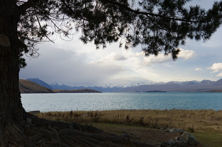 Lake tekapo, with Mt Cook in the distance